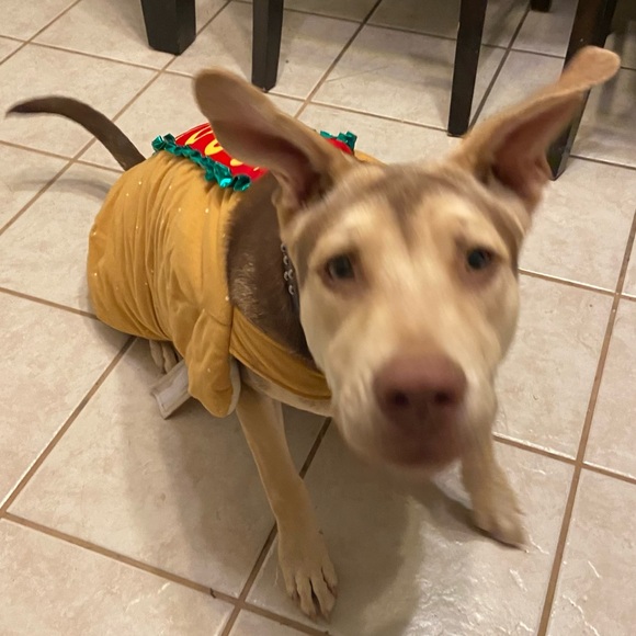 Maryposa is LIVE - Picture 5 of 9